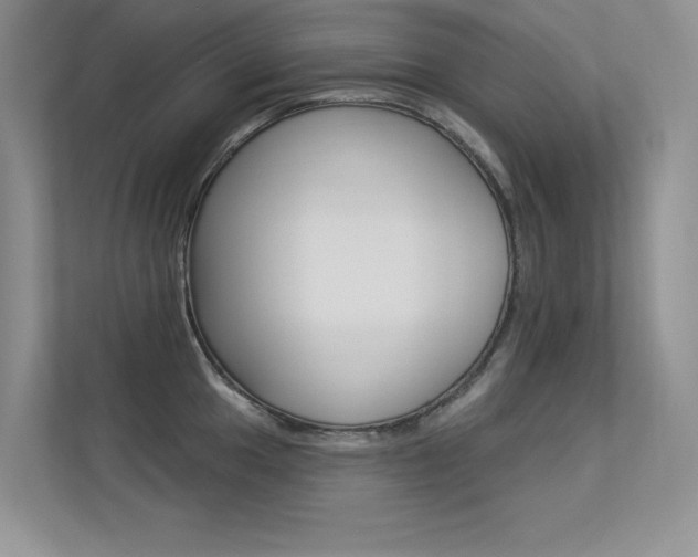 X0000113321049200909140943
