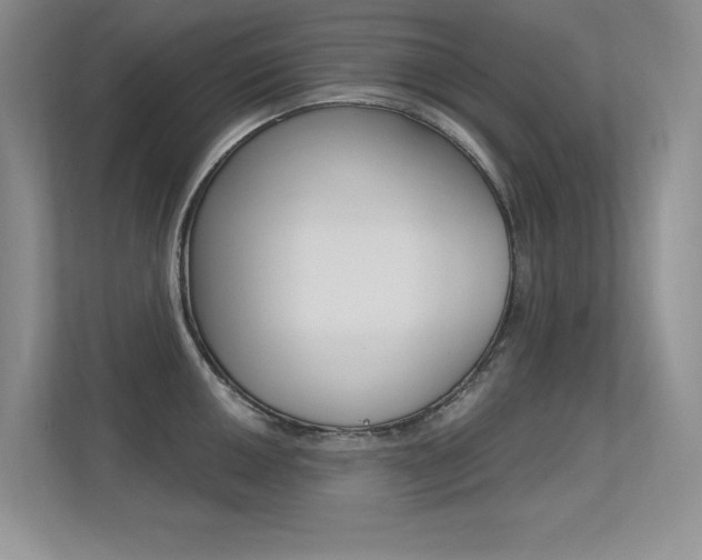 X0000113321050200909140943