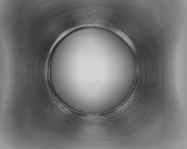 X0000113321052200909140943