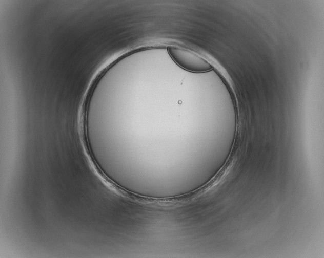 X0000113321053200909140943