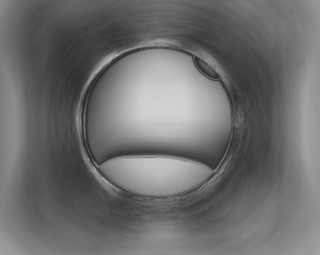 X0000113321054200909140943