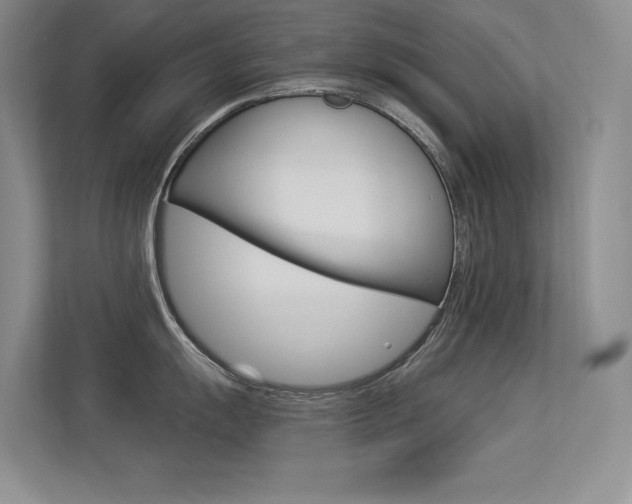 X0000113321055200909140943