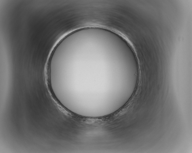 X0000113321056200909140943