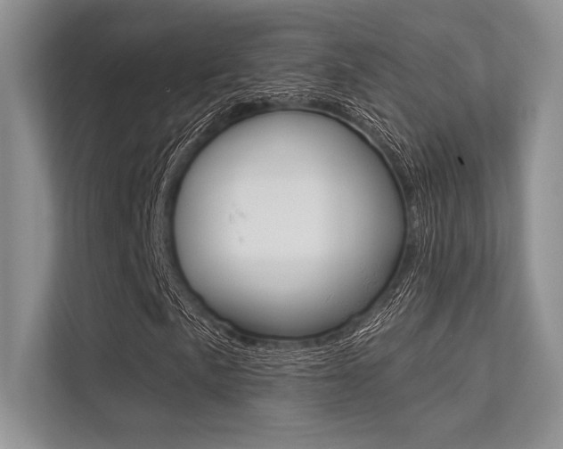 X0000113321057200909140942