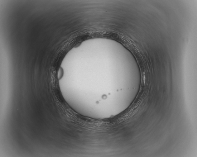 X0000113321059200909140942