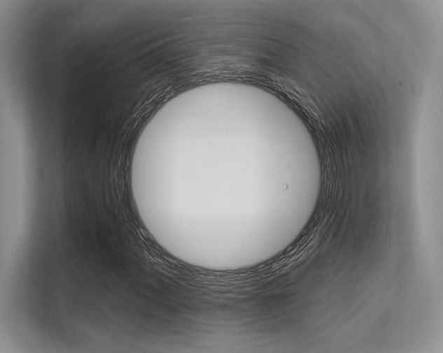 X0000113321060200909140942