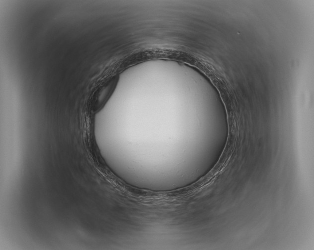 X0000113321061200909140942