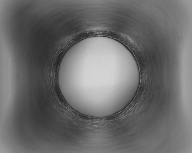 X0000113321062200909140942