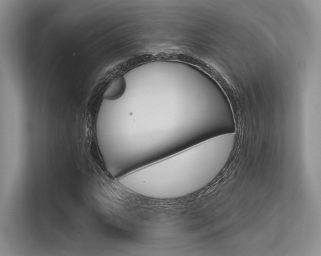 X0000113321063200909140942