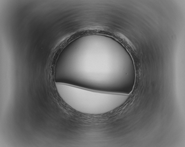X0000113321064200909140942