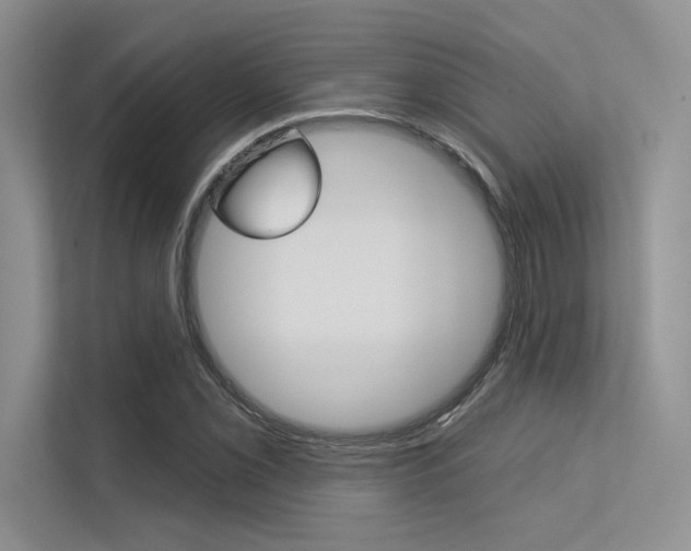 X0000113321069200909140942