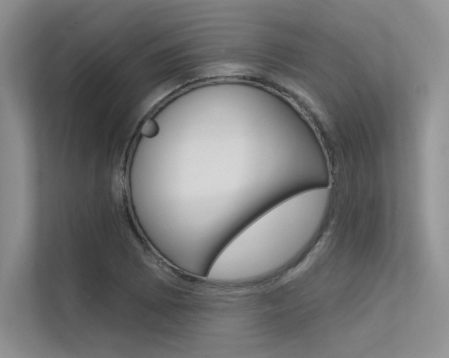 X0000113321073200909140942