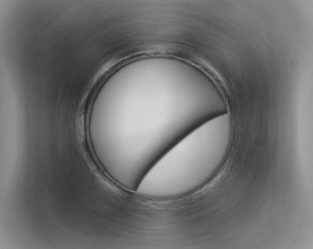 X0000113321075200909140942