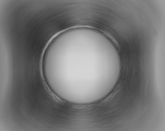X0000113321076200909140942
