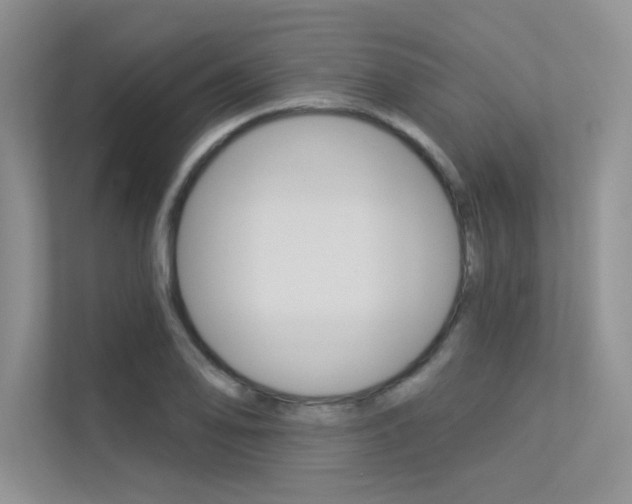 X0000113321078200909140942