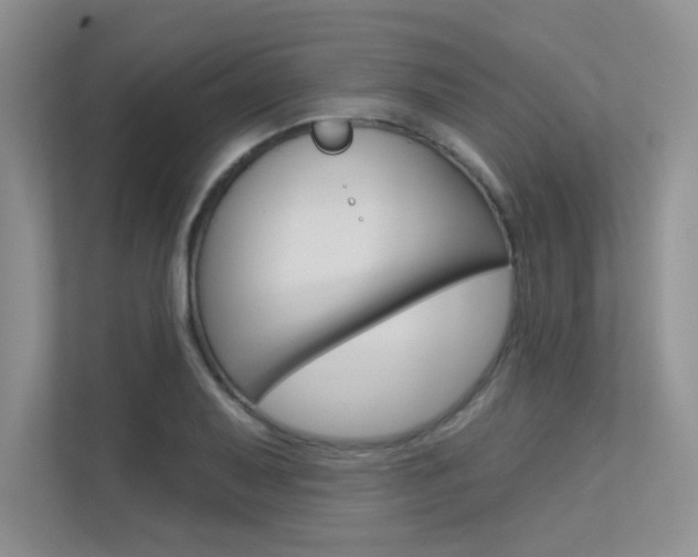 X0000113321079200909140942