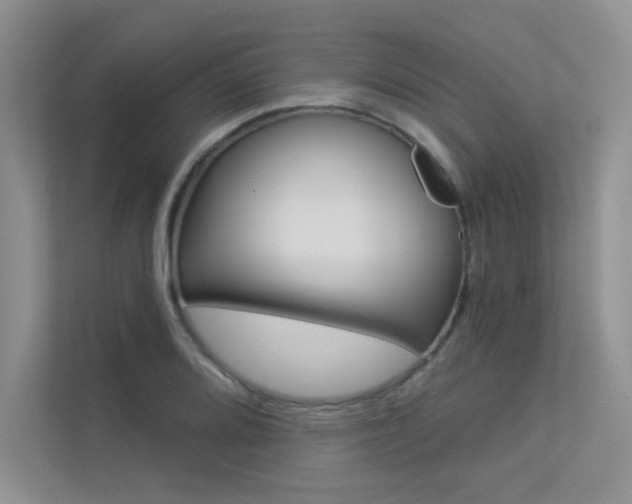 X0000113321080200909140942