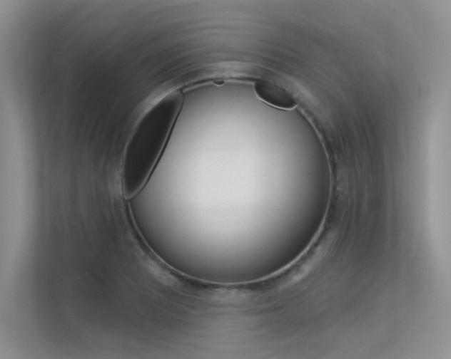 X0000113321081200909140942