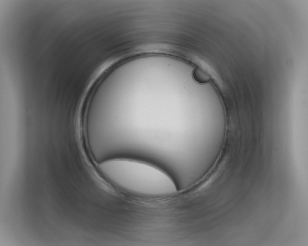 X0000113321082200909140942