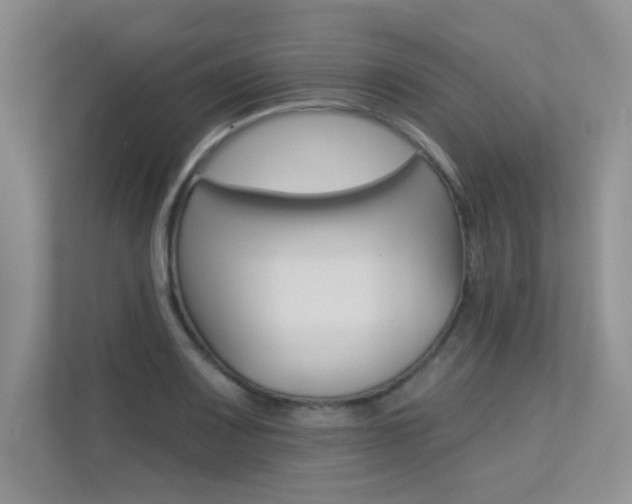 X0000113321083200909140942
