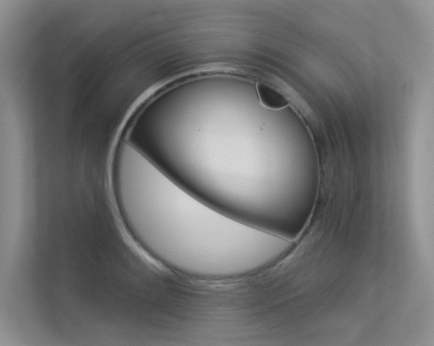 X0000113321084200909140942