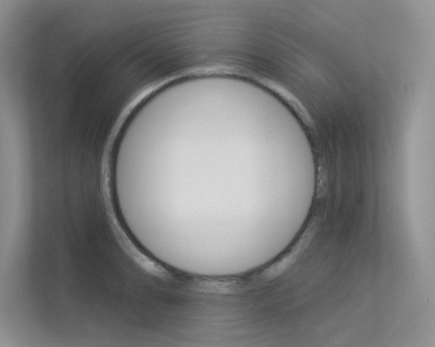 X0000113321086200909140942
