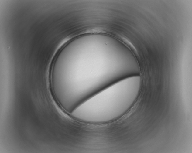 X0000113321087200909140942