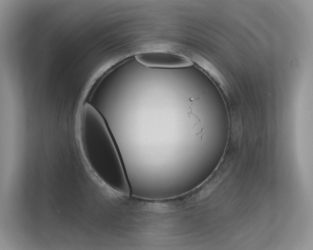X0000113321088200909140942