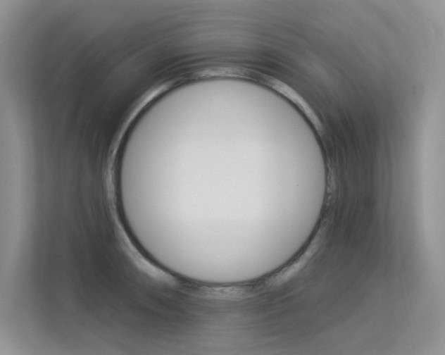 X0000113321090200909140942