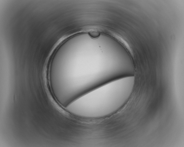 X0000113321091200909140942