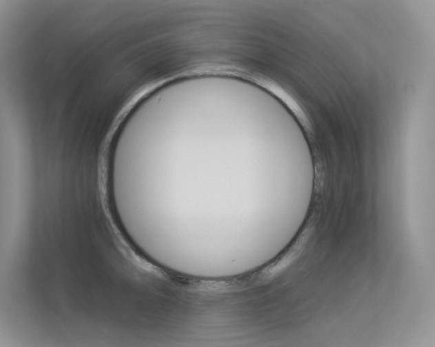X0000113321094200909140942