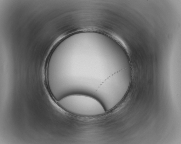 X0000113321095200909140942