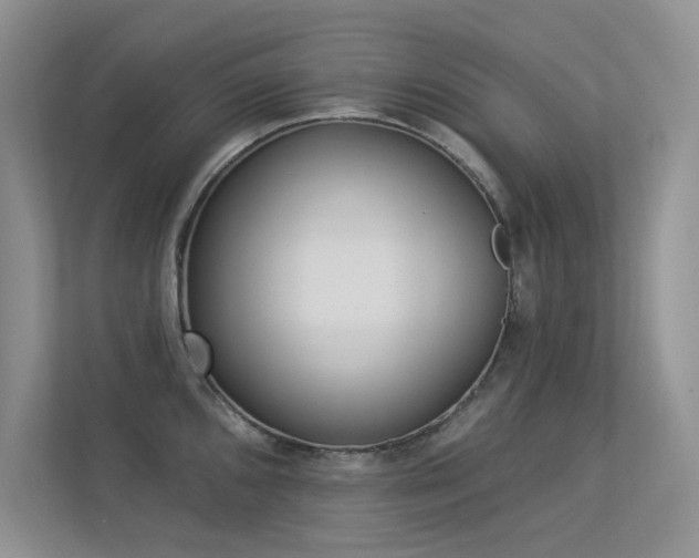 X0000113321096200909140942