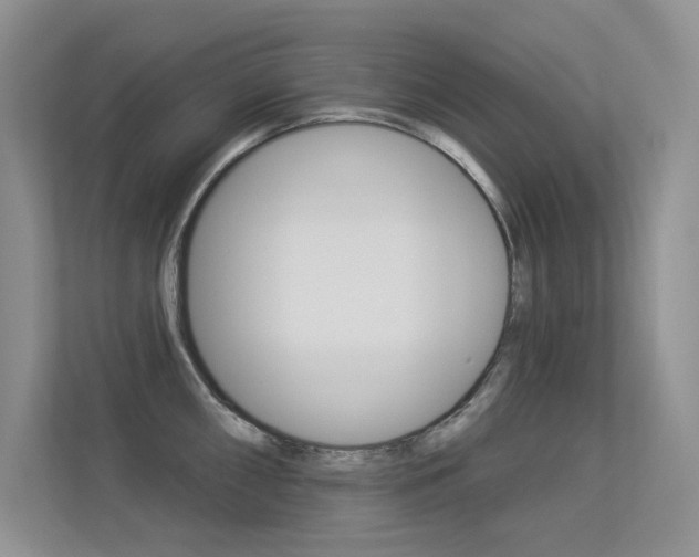X0000113321098200909140942