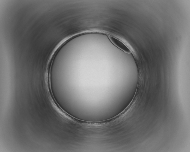 X0000113321100200909140942