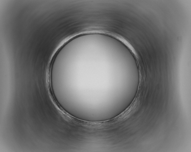 X0000113321101200909140942