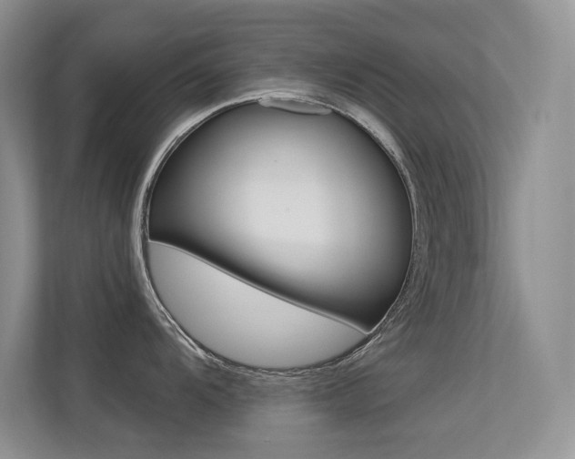 X0000113321104200909140942