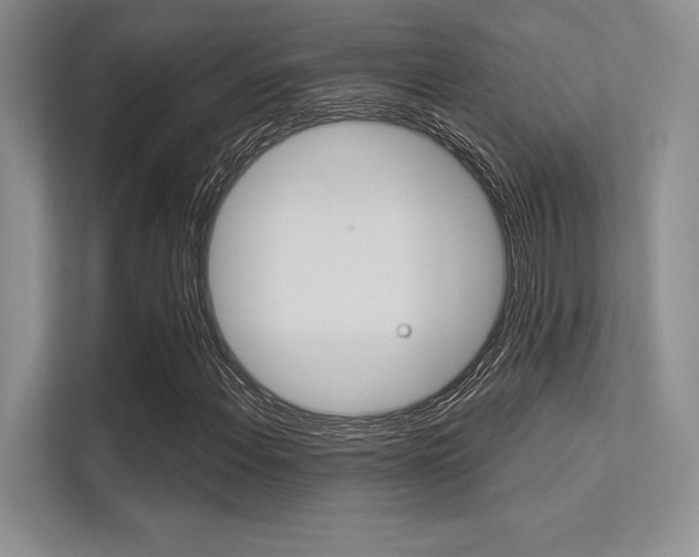 X0000113321108200909140941