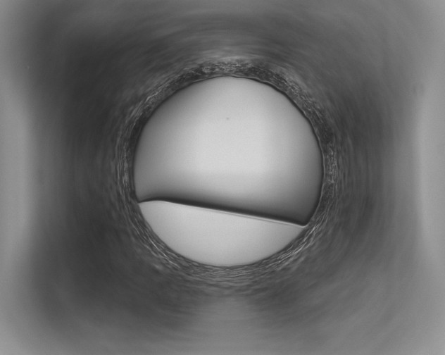X0000113321109200909140941