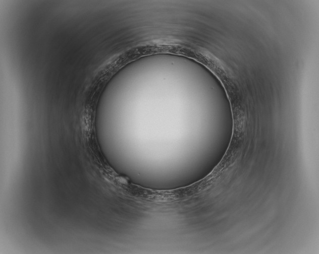 X0000113321110200909140941