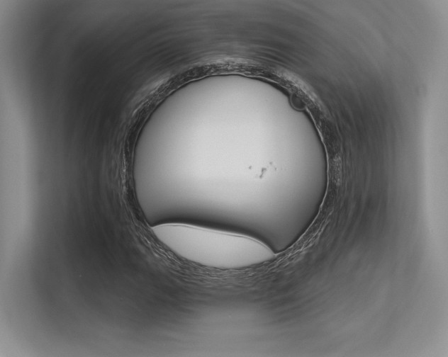 X0000113321111200909140941