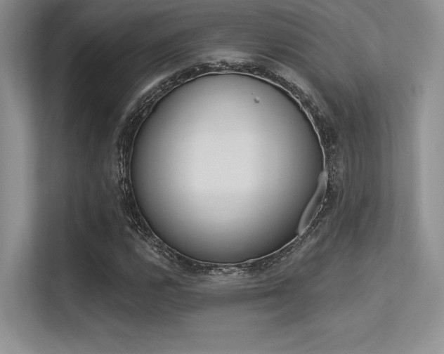 X0000113321112200909140941