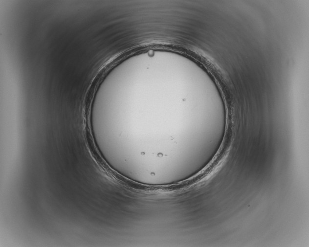X0000113321113200909140941