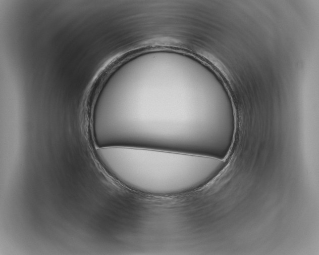 X0000113321115200909140941