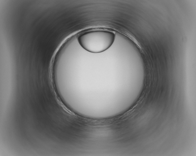X0000113321116200909140941