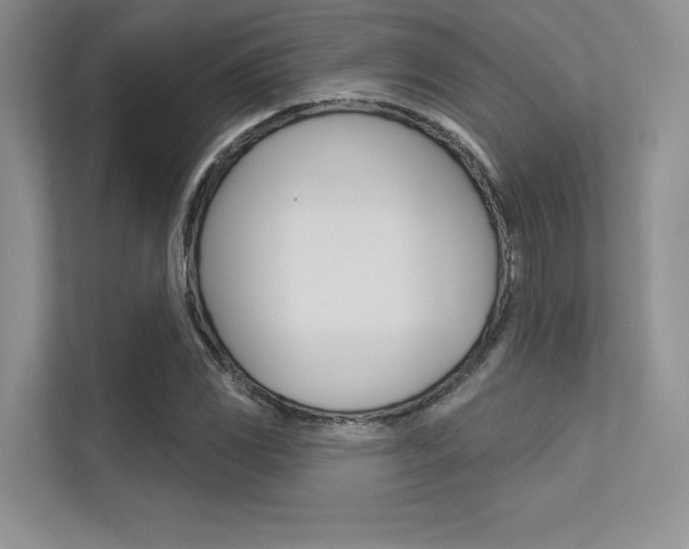 X0000113321117200909140941