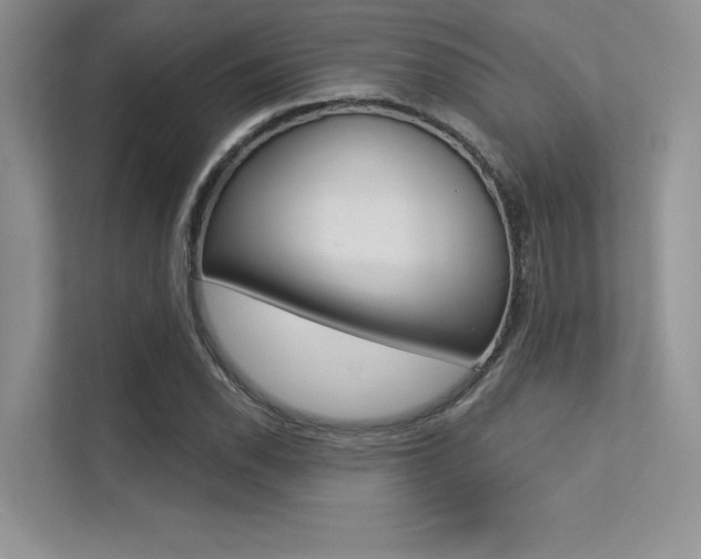 X0000113321118200909140941
