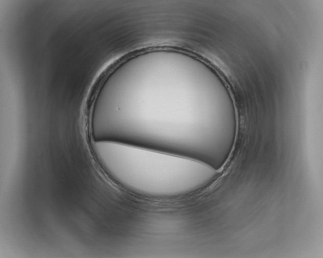 X0000113321119200909140941