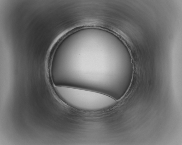 X0000113321120200909140941