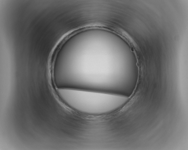 X0000113321124200909140941